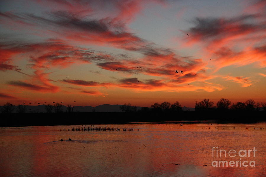 Sunset Merced California Photograph By Penny Smith Fine Art America