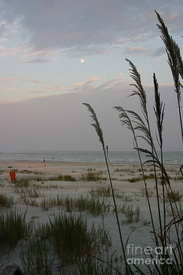 Moon Photograph - Sunset Moon by Beebe Barksdale-Bruner Moon Photograph - Sunset Moon by Beebe Barksdale-Bruner