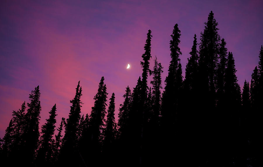 Sunset Moon Photograph by Gary Kochel