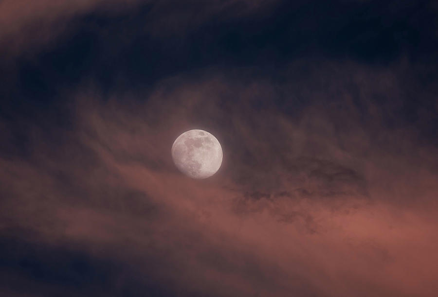 Sunset Moon Photograph by Jody Partin