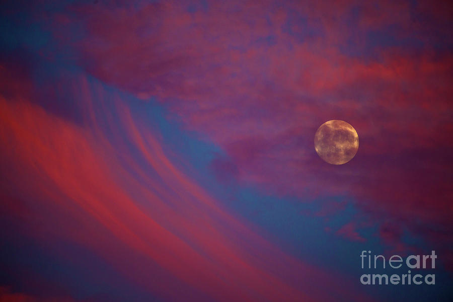 Sunset Moon Rise Photograph by Reva Dow