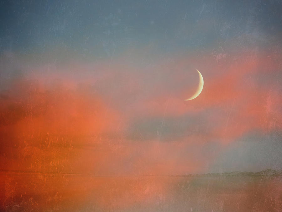 Sunset Moon Photograph by Shawna Rowe