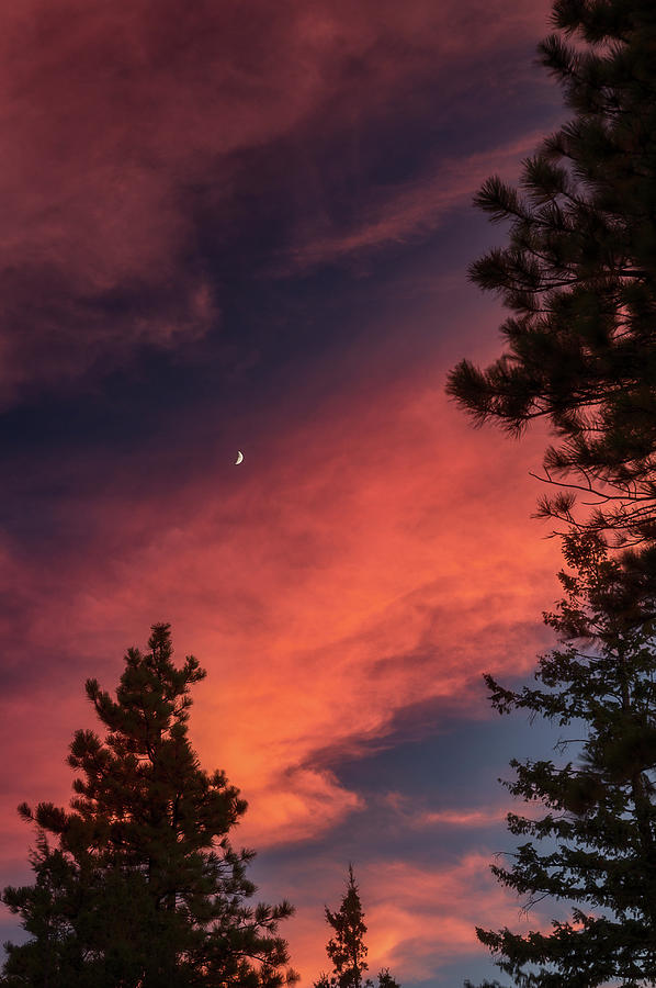 Nature Photograph - Sunset - Moonrise by Jarrett Griffin