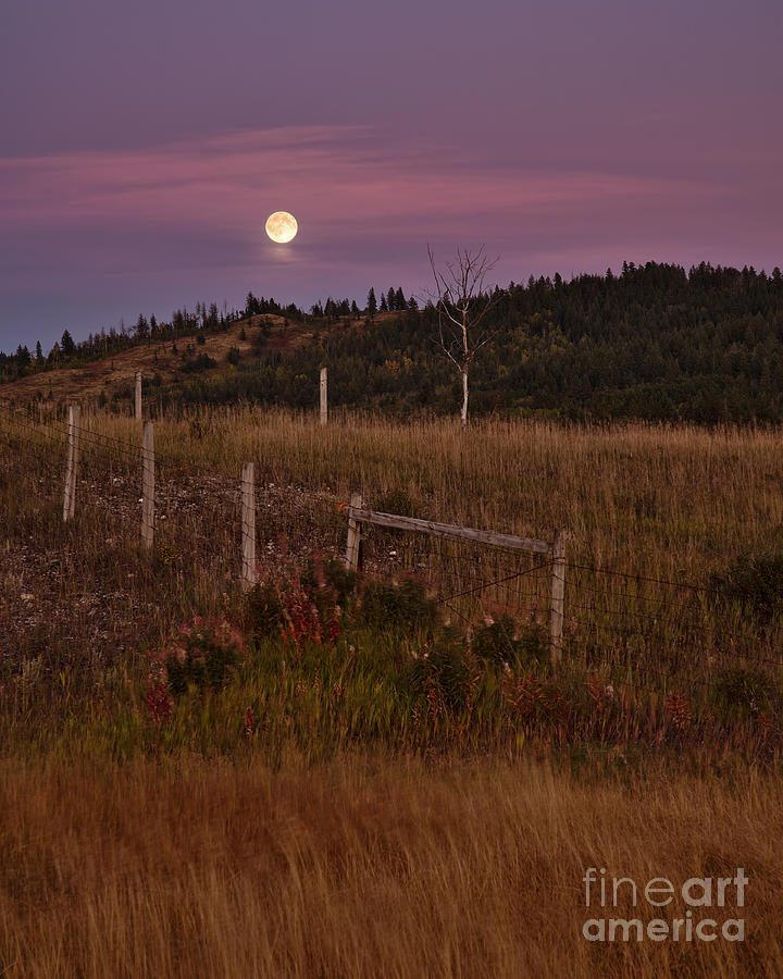 Sunset Moonrise Photograph by Royce Howland