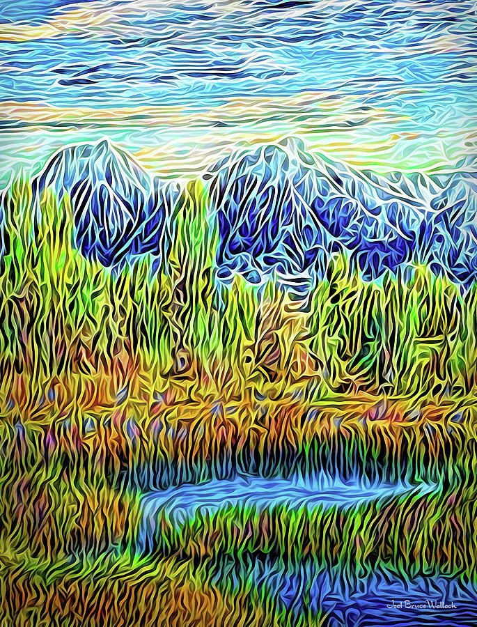 Sunset Mountain Reverie Digital Art by Joel Bruce Wallach