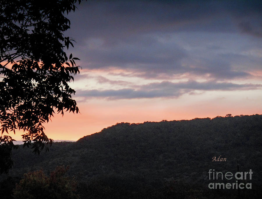 Sunset Near The Fig Preserve - One Photograph by Felipe Adan Lerma