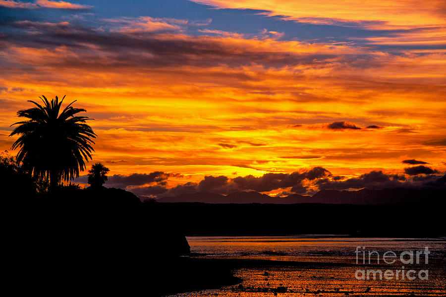Sunset Nelsons Bay Photograph by Rick Bragan