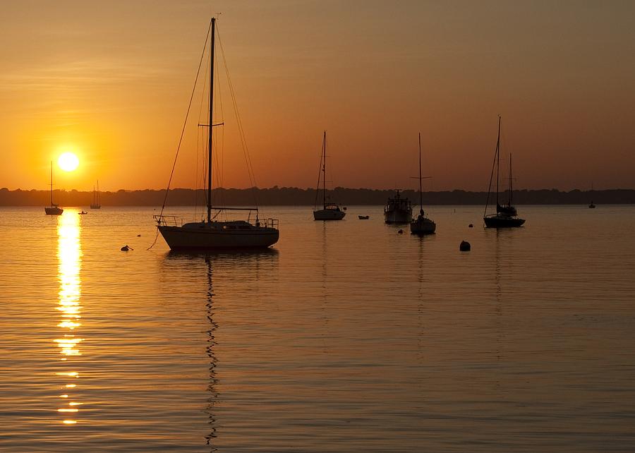 Sunset Newport Boats Photograph by Steven Natanson