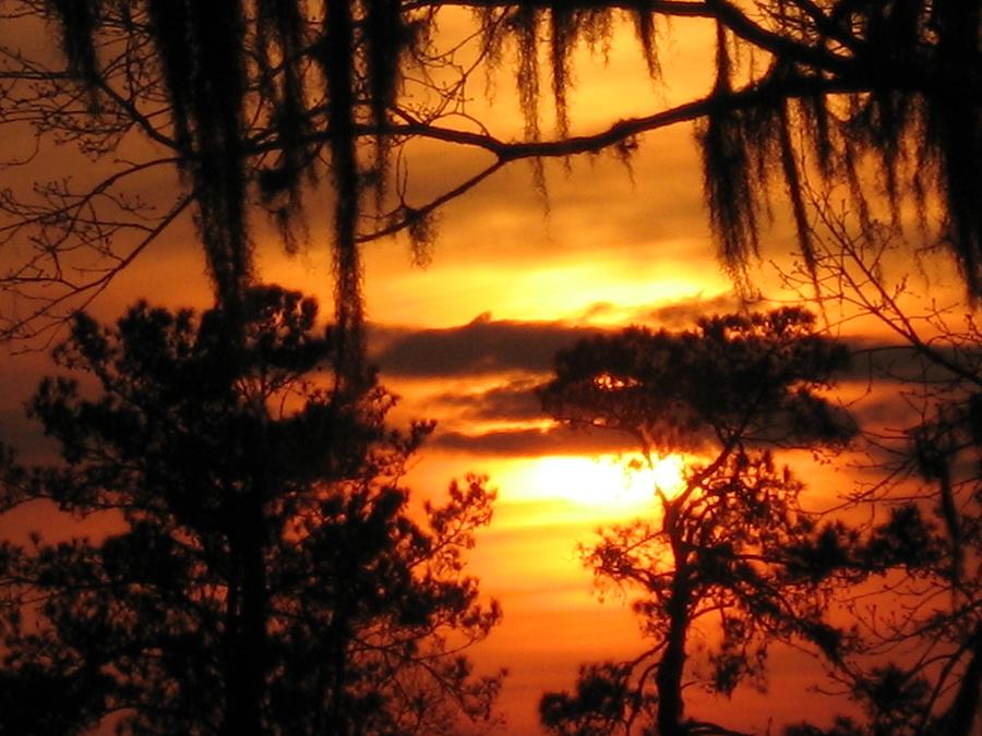 Sunset of Fire Photograph by Sharon Wright Duncan