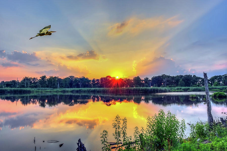 Sunset on a Chesapeake Bay pond Photograph by Patrick Wolf