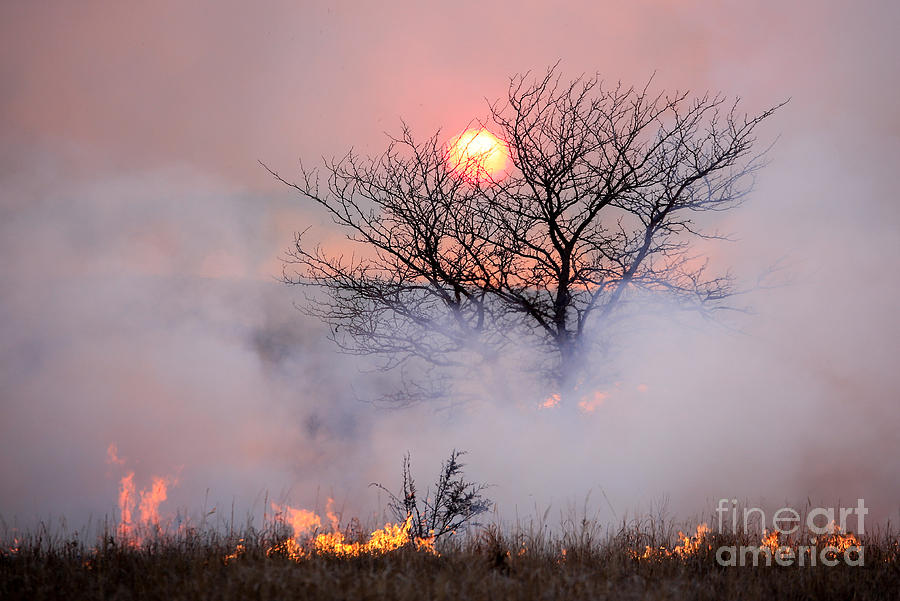Sunset on a Flint Hills Burn Photograph by Lynn Sprowl