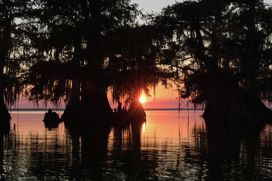 Sunset on a Louisiana Cypress Swamp Photograph by Bill Swindaman - Pixels