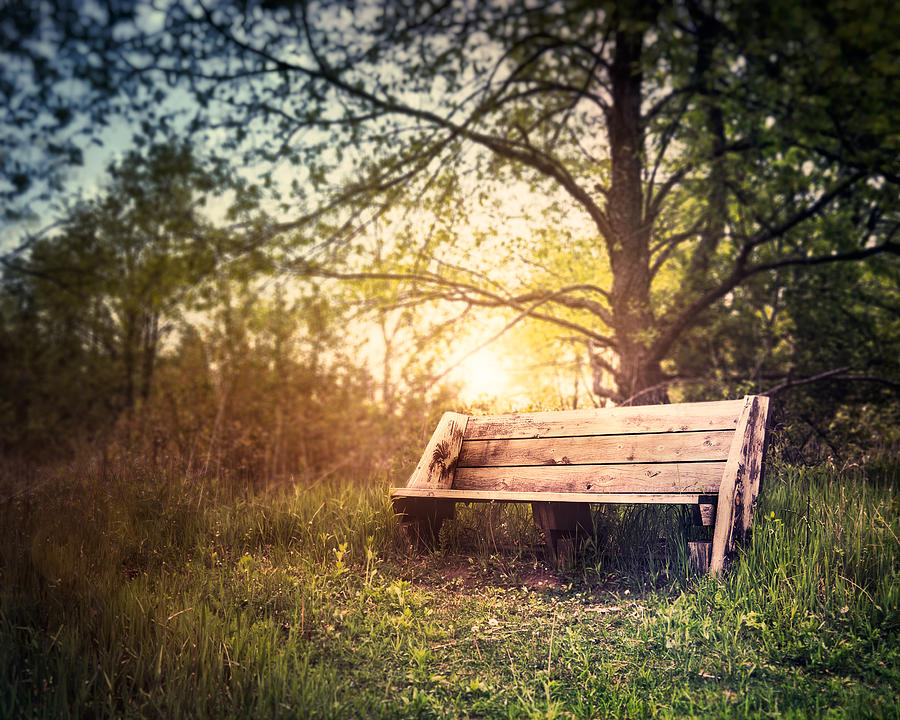 Sunset On A Wooden Bench Photograph