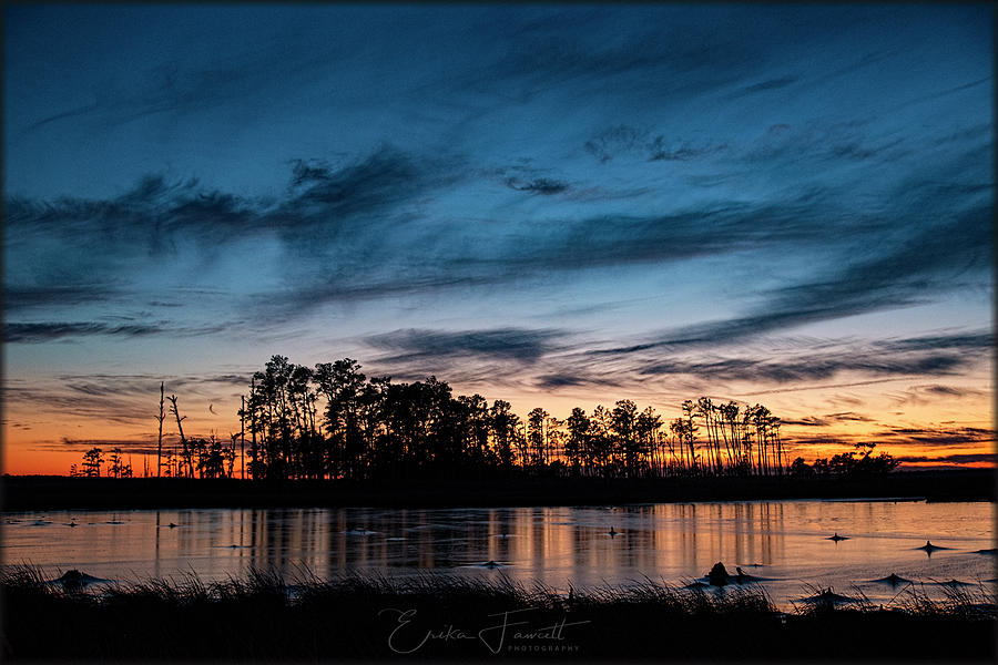 Sunset on Blackwater Refuge Photograph by Erika Fawcett