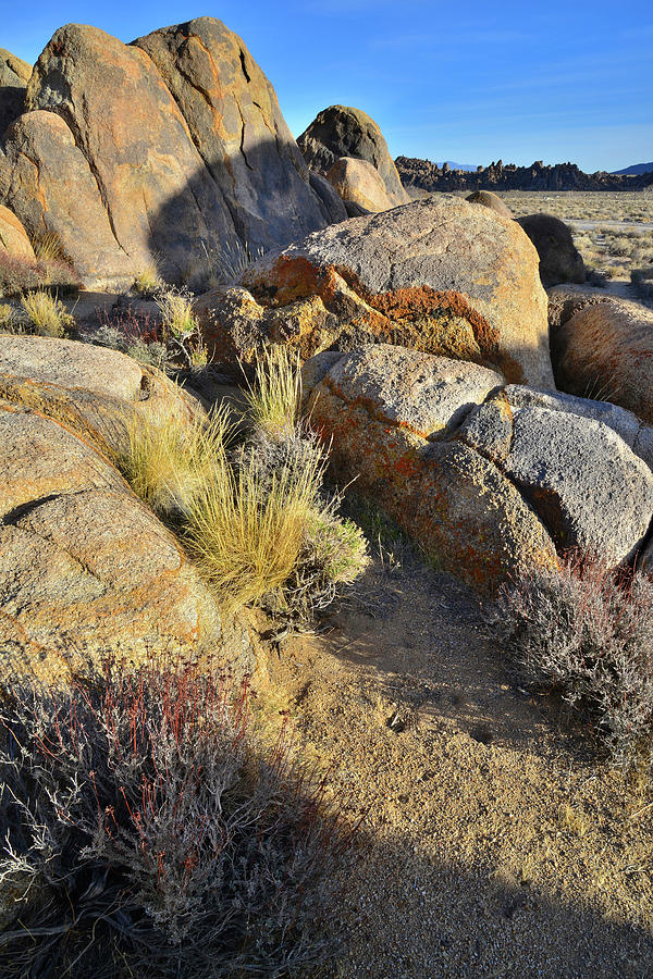 Sunset on Boulders of the Alabama Hills Photograph by Ray Mathis