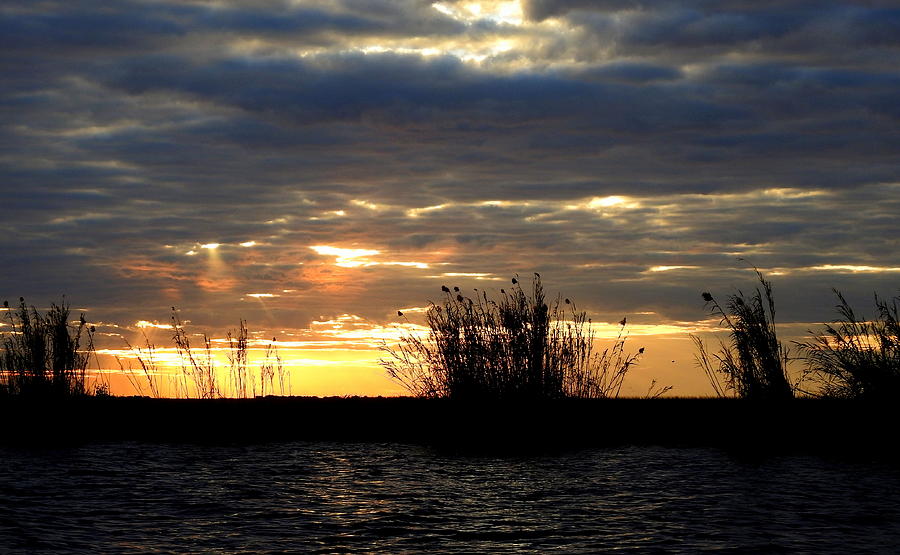 Sunset on Chobe River Photograph by Betty-Anne McDonald