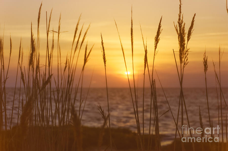Sunset on Delaware Bay Photograph by Debra Fedchin