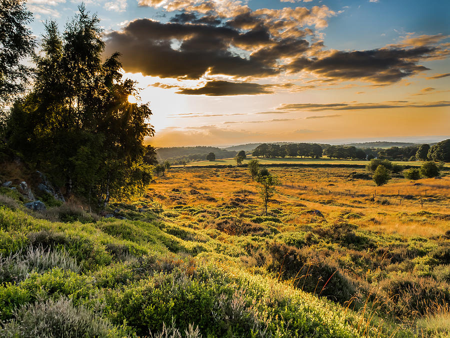 Sunset on Heath Photograph by Nick Bywater
