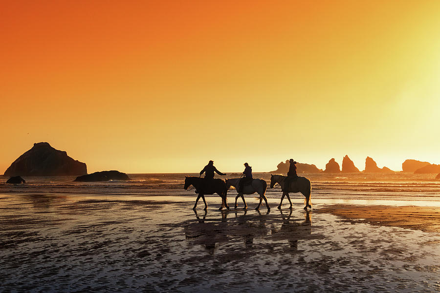 Sunset On Horseback Photograph by Mark Kiver