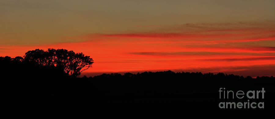 Sunset on Hwy 200 Photograph by Jennifer Robin