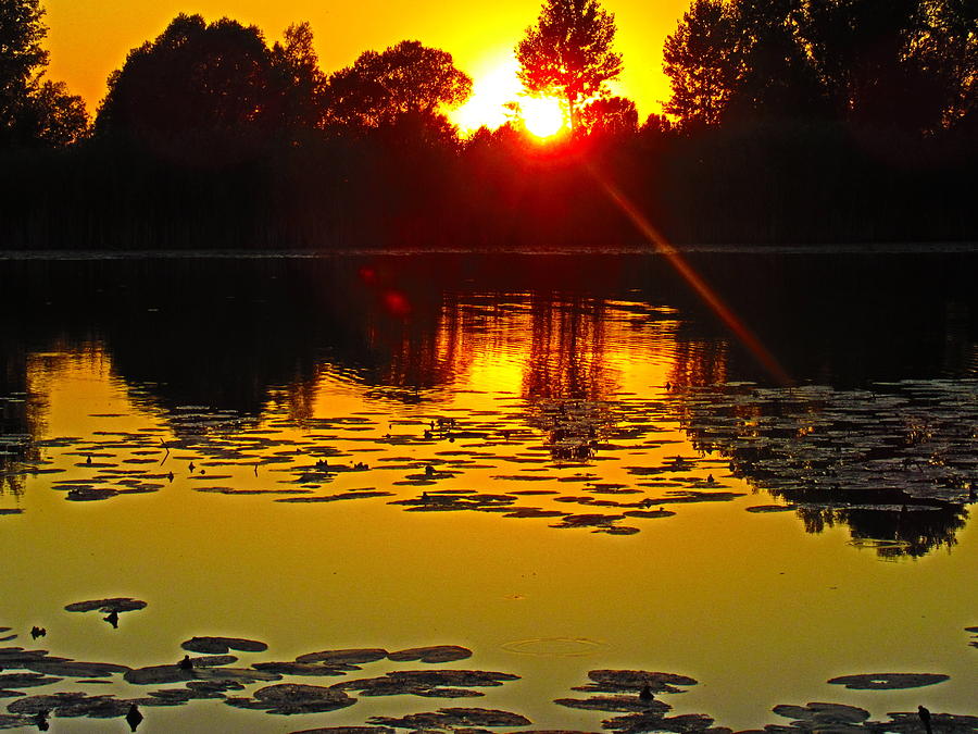 Sunset on the  lake Photograph by Vesna Martinjak