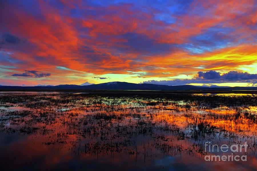 Sunset Photograph - Sunset on  marshes  by Irina Hays