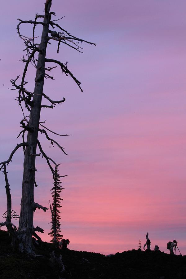 Sunset on McKenzie Pass Photograph by Olivia Haro - Pixels