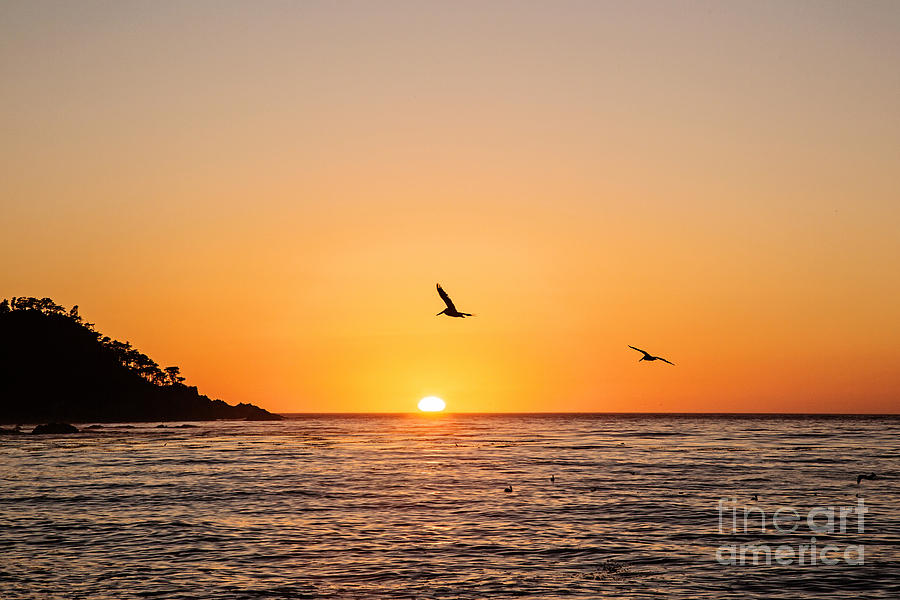Sunset on Monterey Beach Photograph by Scott Pellegrin