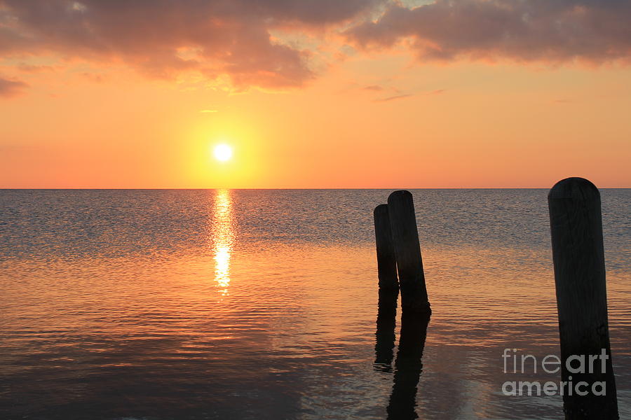 Sunset on Pimlico Sound Photograph by Laurinda Bowling