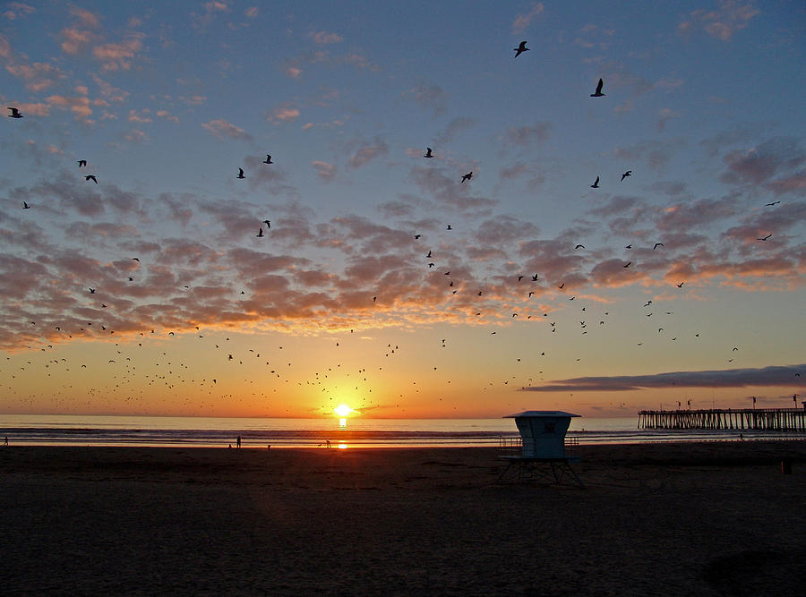 Sunset on Pismo Beach California Photograph by Jim Sweida