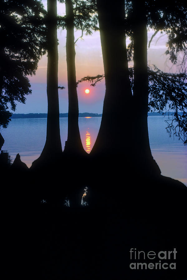Sunset on Reelfoot Lake Photograph by Bob Phillips