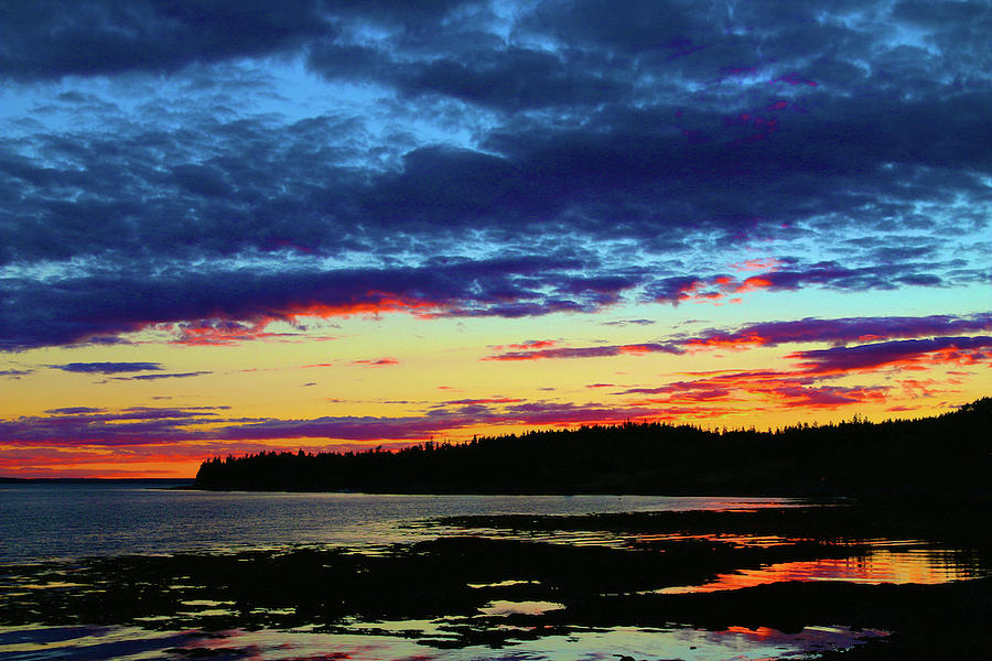 Sunset on Seal Cove Photograph by Polly Castor