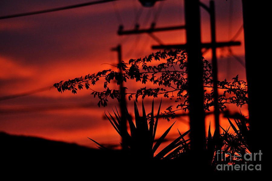 Sunset On SoCal Suburb Photograph by Clayton Bruster