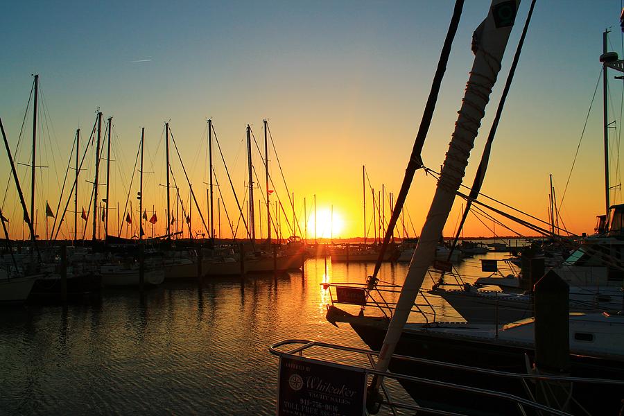 Sunset on the Bay Photograph by Catie Canetti