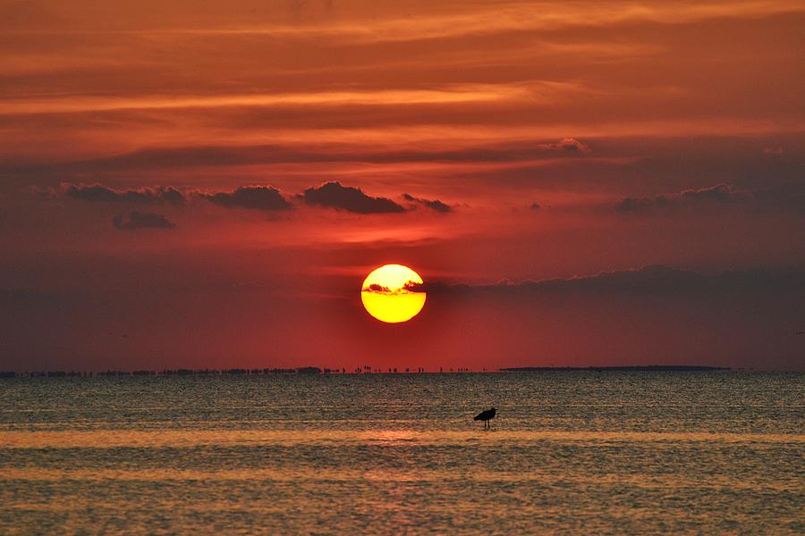 Red Sunset on South Padre Island Texas Photograph by Gaby Ethington