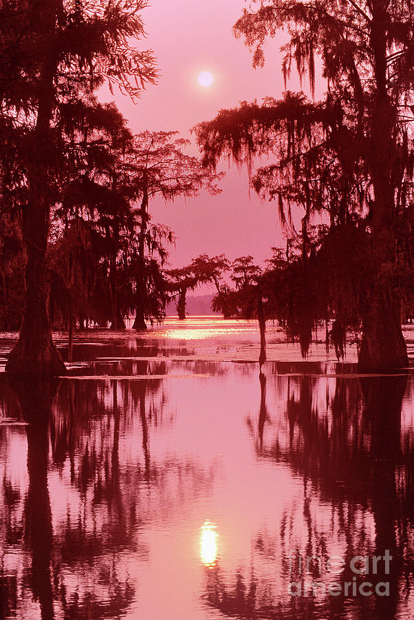 Sunset on the Bayou Atchafalaya Basin Louisiana Photograph by Dave Welling
