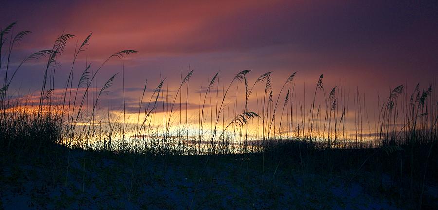 Sunset Photograph - Sunset on the Beach Grasses by Valerie Tull