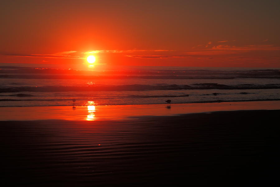 Sunset Photograph - Sunset on the beach by Jeff Swan
