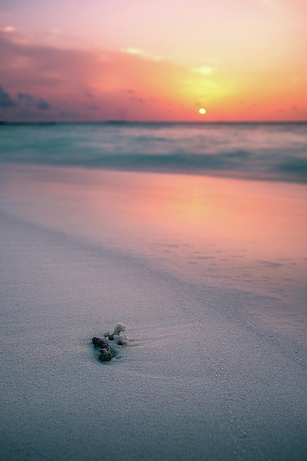 Sunset on the beach - Maldives - Travel photography Photograph by Giuseppe Milo