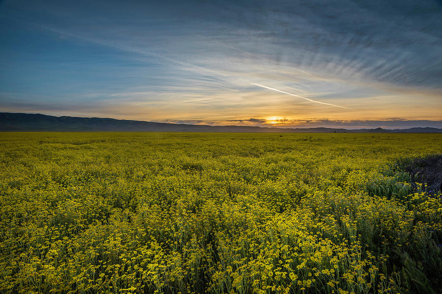 Sunset on the Carrizo Plain Photograph by Scott Cunningham