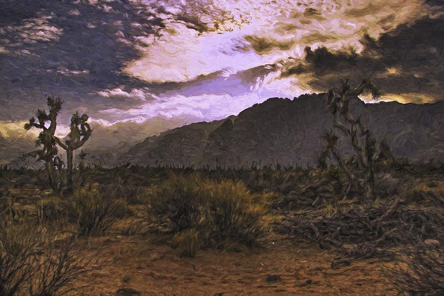 Mountain Photograph - Sunset on the Desert Cacti by David Kehrli
