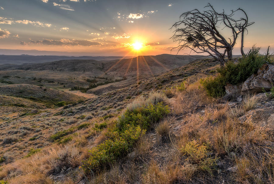 Sunset on the Desert Plain Photograph by Matt Hammerstein