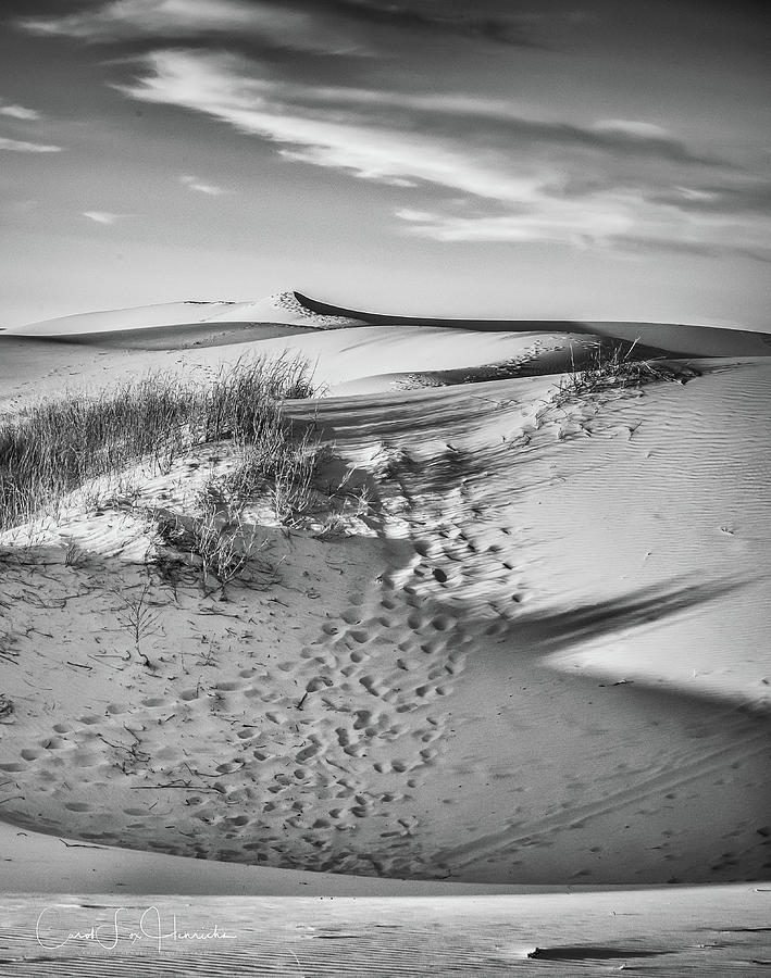 Sunset on the Dunes Photograph by Carol Fox Henrichs - Fine Art America