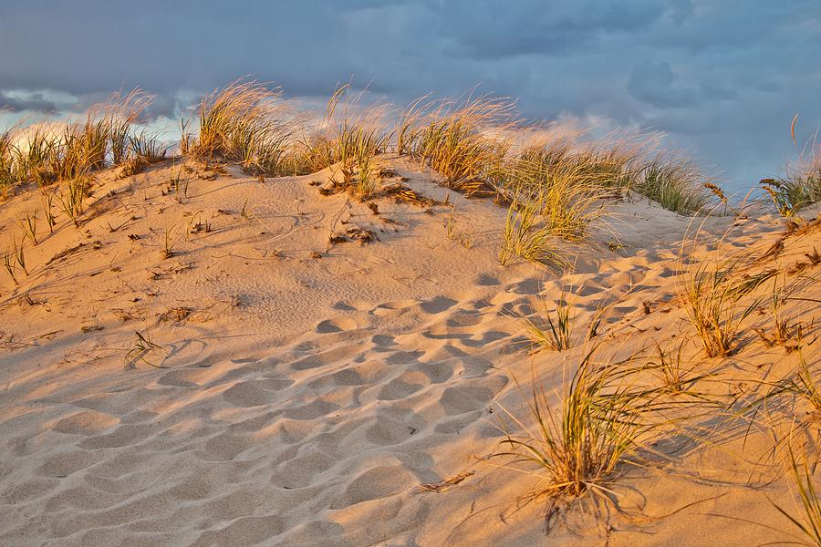 Sunset on the Dunes Photograph by Marisa Geraghty Photography