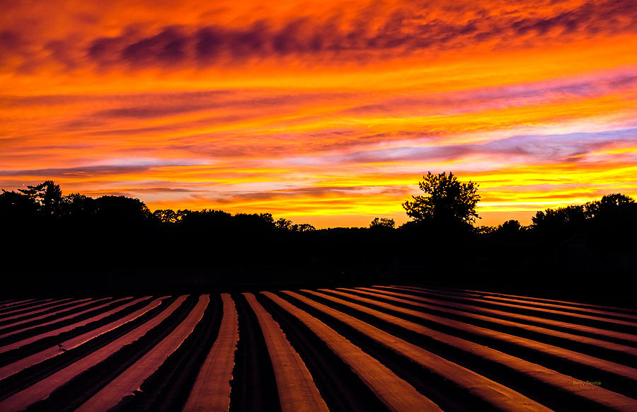 Sunset Photograph - Sunset on the Farm by Betty Denise