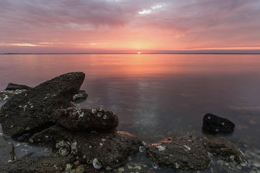 Sunset on the Forgotten Coast Photograph by Eilish Palmer