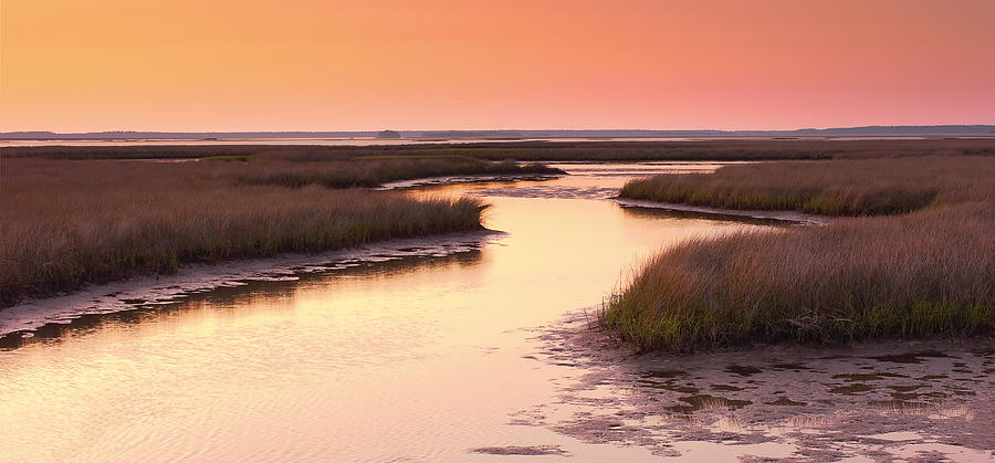 Sunset on the Marsh Photograph by Bill Chambers