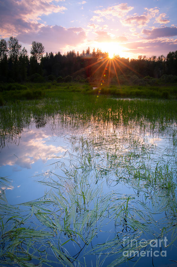 Sunset on the Marsh Photograph by Idaho Scenic Images Linda Lantzy
