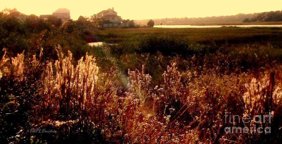 Sunset on the Marsh Photograph by Pat Davidson