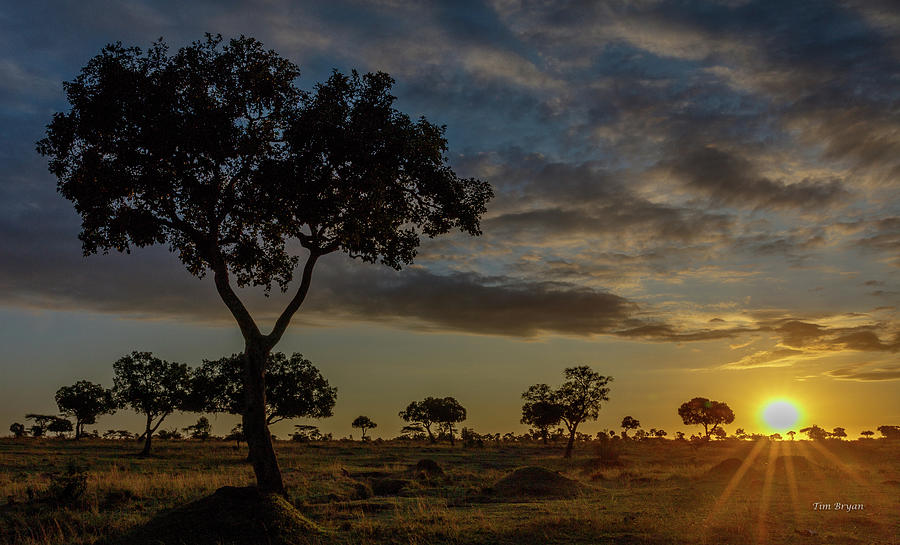 Sunset Photograph - Sunset on the Masai-Mara, Kenya by Tim Bryan
